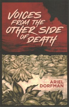 Voices from the Other Side of Death Cheap